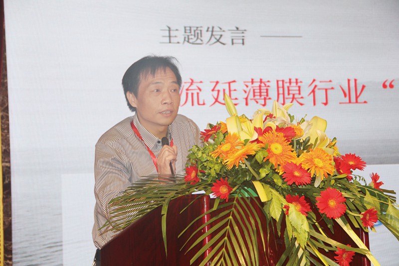 7.湖北慧獅塑業股份有限公司副總經理魯猛成作“流延薄膜行業‘十三五’創新發展探討”的發言